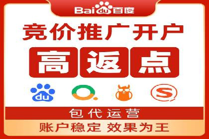 成功案例：SEM托管代运营助力业务增长